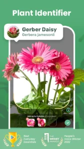 Plant identification and Flowers 9 Free Android Apps 4 9 Free Android Apps to Identify Plants and Flowers