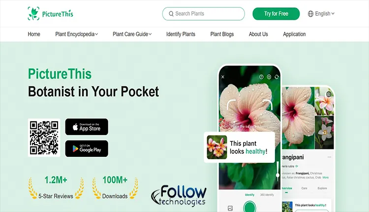 Plant identification and Flowers 9 Free Android Apps 3 9 Free Android Apps to Identify Plants and Flowers