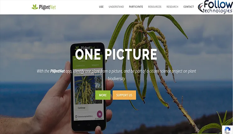 Plant identification and Flowers 9 Free Android Apps 5 9 Free Android Apps to Identify Plants and Flowers