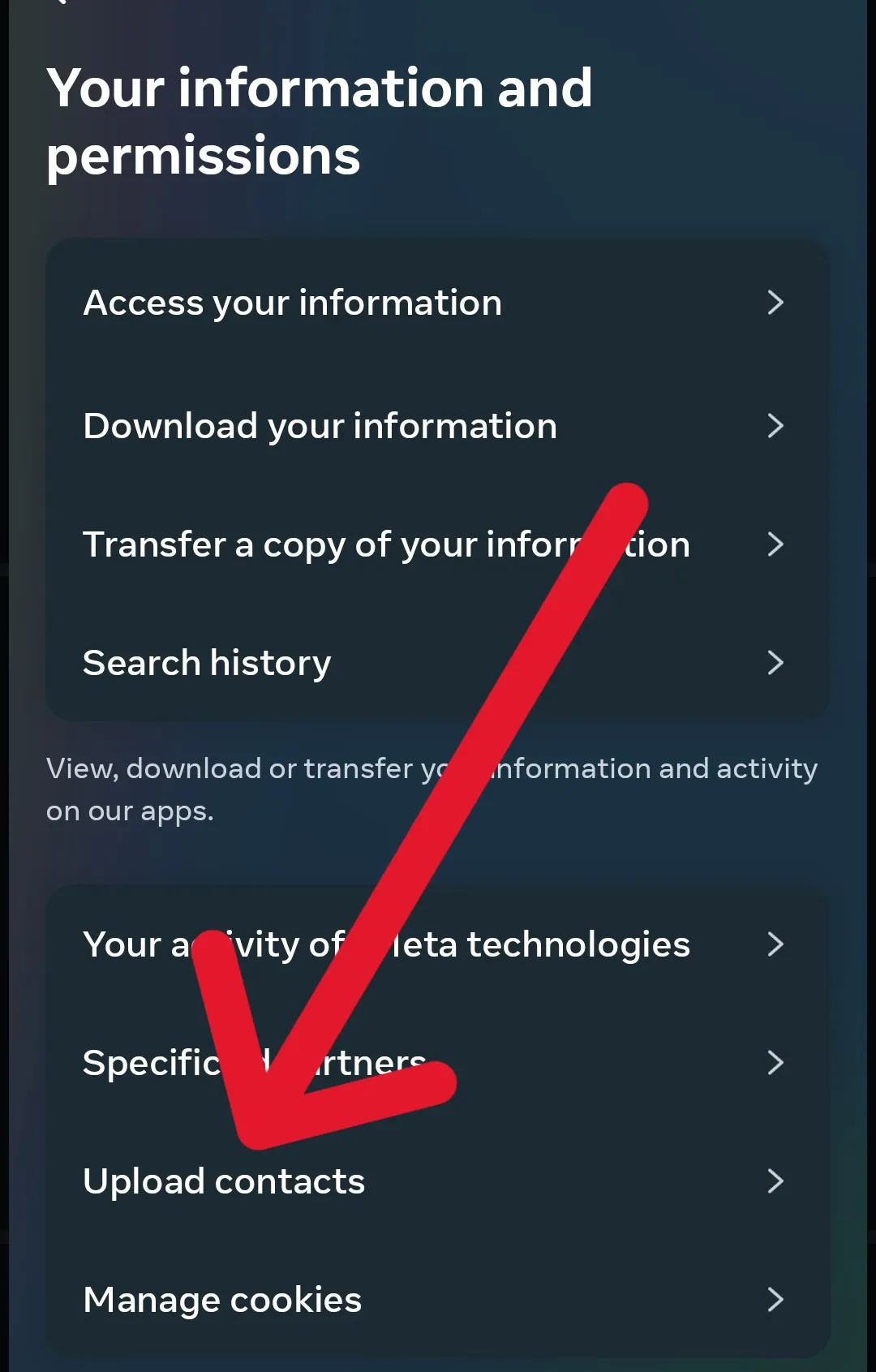 how to find contacts on Instagram