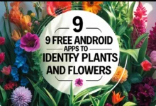 plant identification