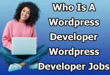 Who is a WordPress developer