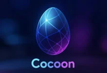 money cocoon network