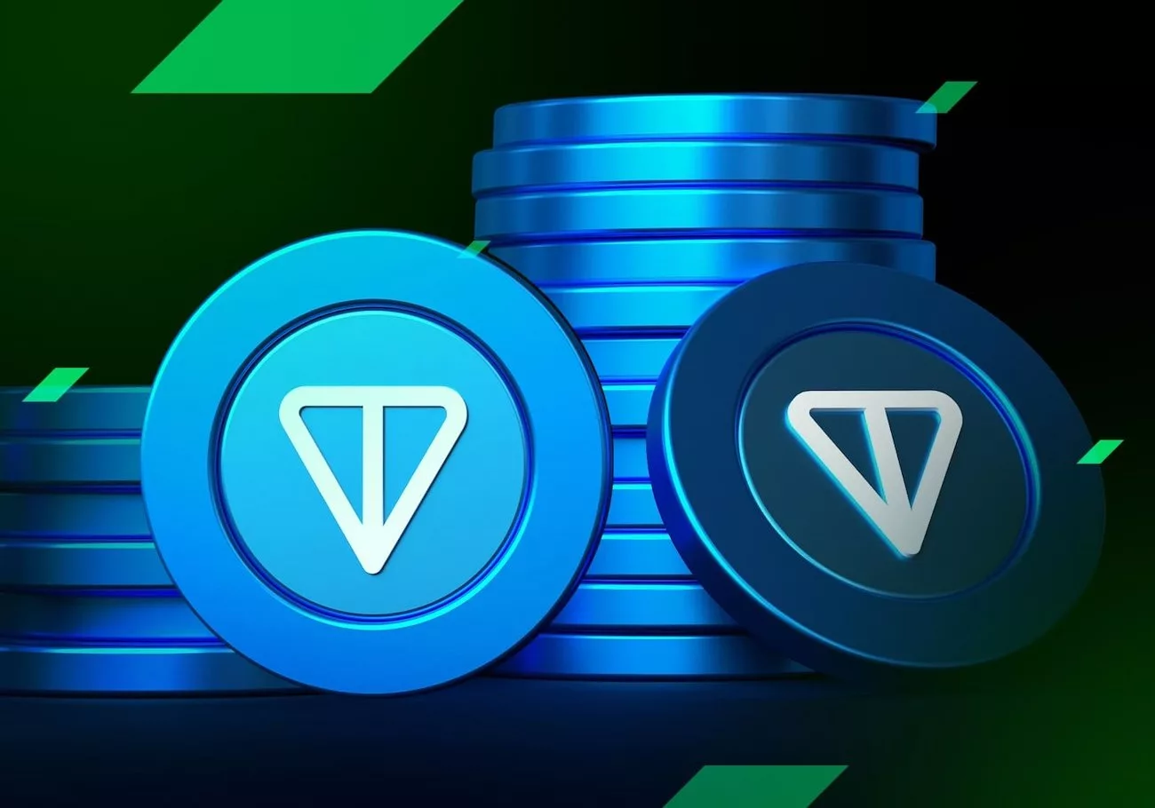 money cocoon network