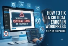 a Critical Error on This Website