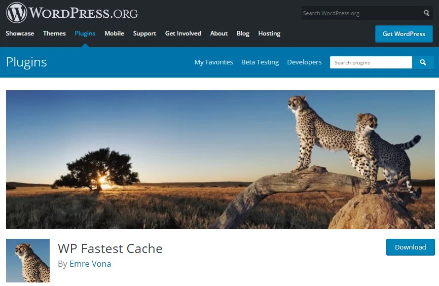 best WordPress optimization plugins 4 best WordPress optimization plugins 4